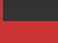 Primary Raster logo
